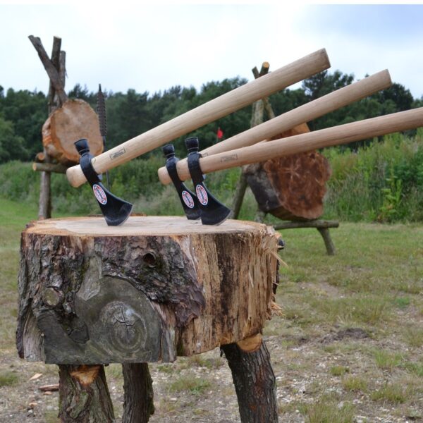 Axe Throwing axes in a wooden stump