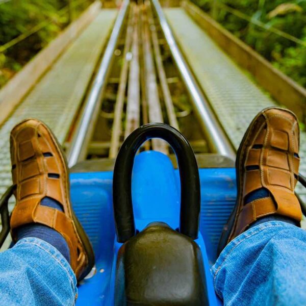 A POV of a person's legs on a Coaster in the Forest