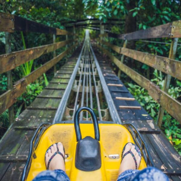 A POV image of riding down the Forest Coaster