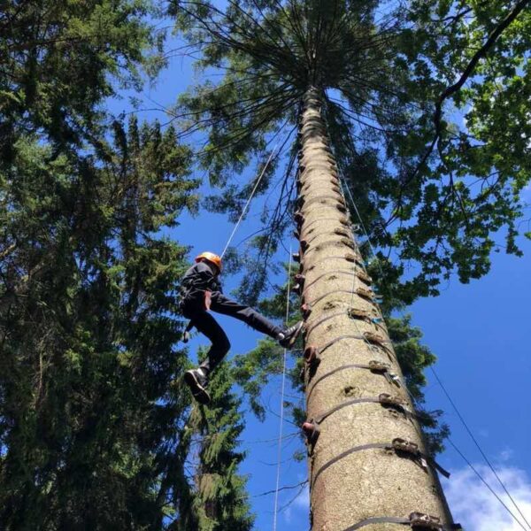 A person climbing up the trunk of a tree on a High Ropes & Zipwire Gift Experience Day