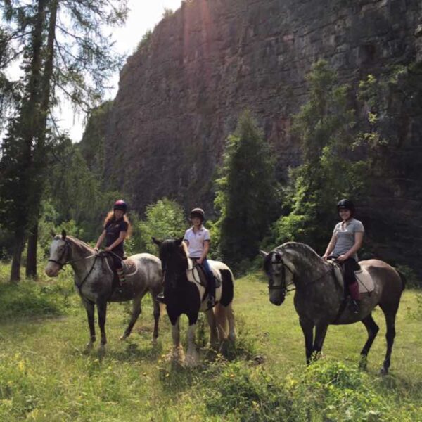 Three girls on horses Pony Trekking through a field