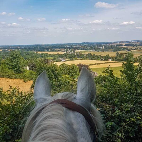 A POV on a horse while Pony Trekking through the countryside