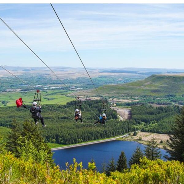 A group zipping down the Zip Wire Phoenix