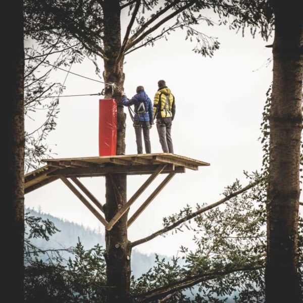 2 people on a lookout in a tree on their Zip Wire Safari on a Gift Experience Day