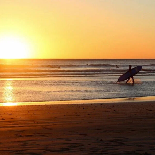 Surfer in waves at sunset